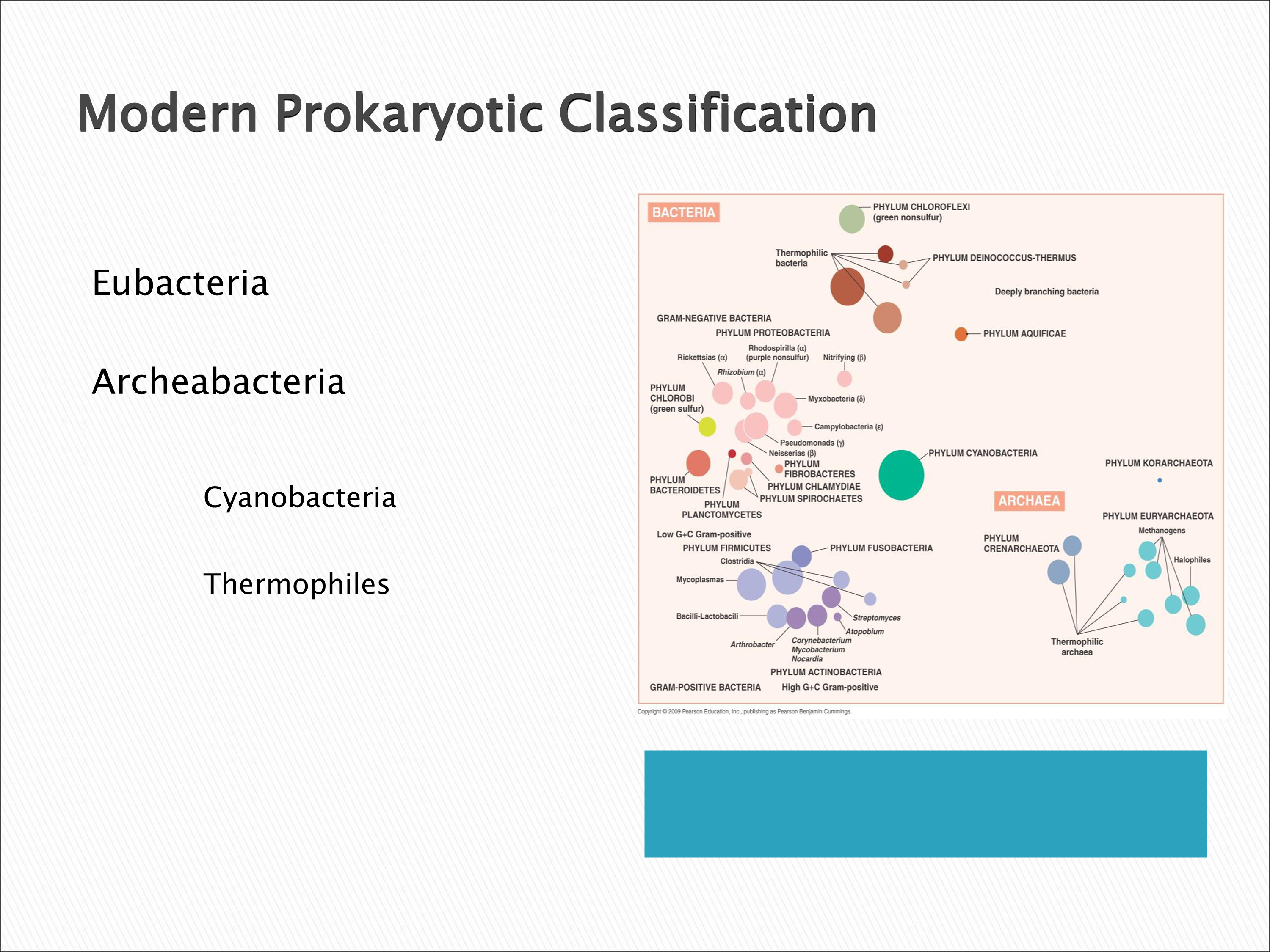 No preview available